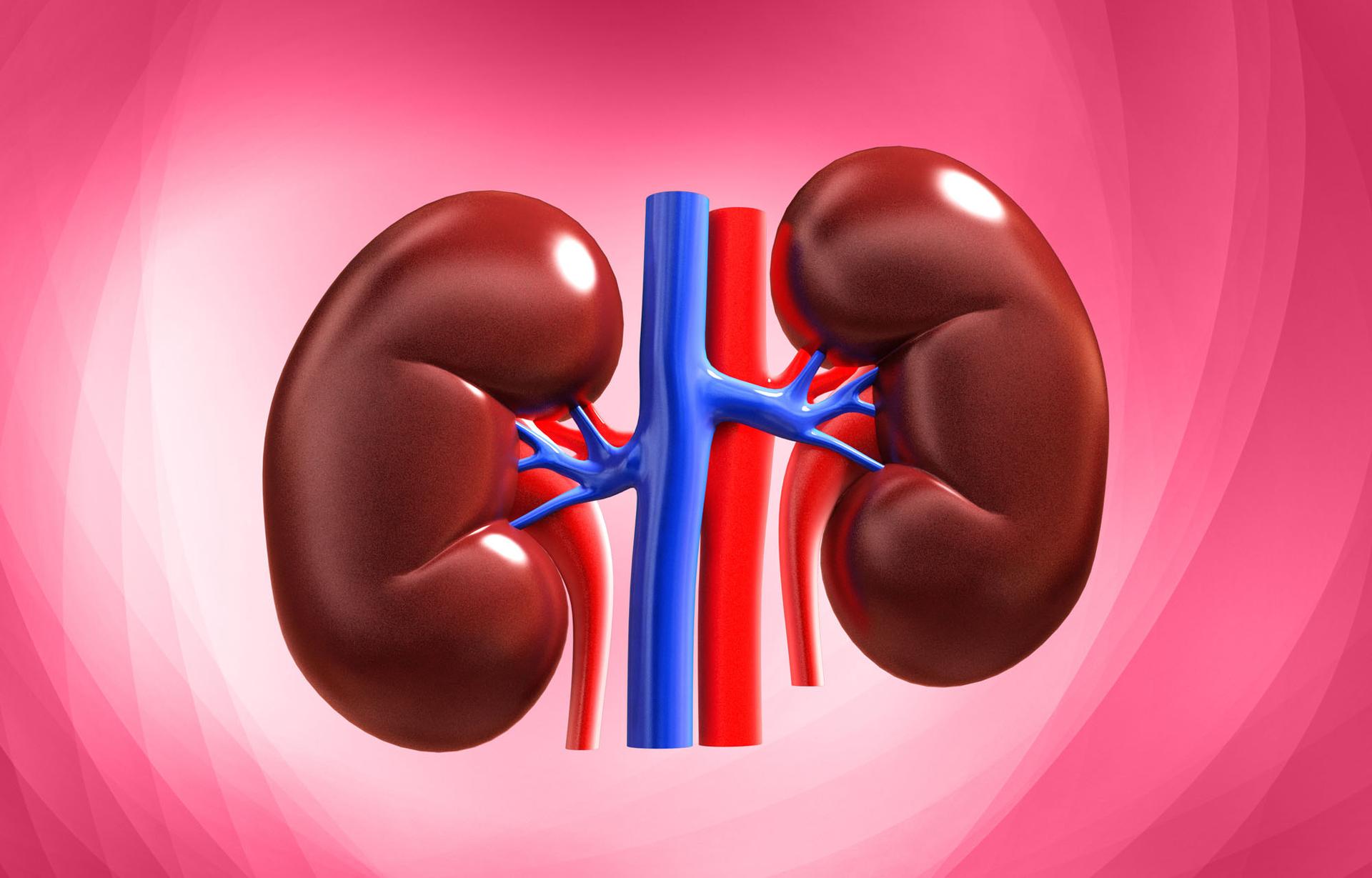 TheRadar outlines lifestyles and habits to avoid maintaining a healthy kidney.
