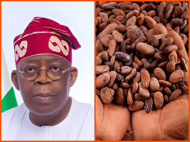 Today's top news: Tinubu okays N108b for states to tackle flooding and Ghana raises cocoa price by 45%
