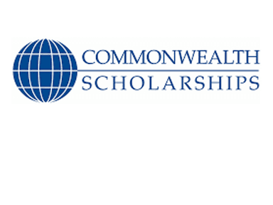 Here is a guide on the Commonwealth scholarship's application process. 