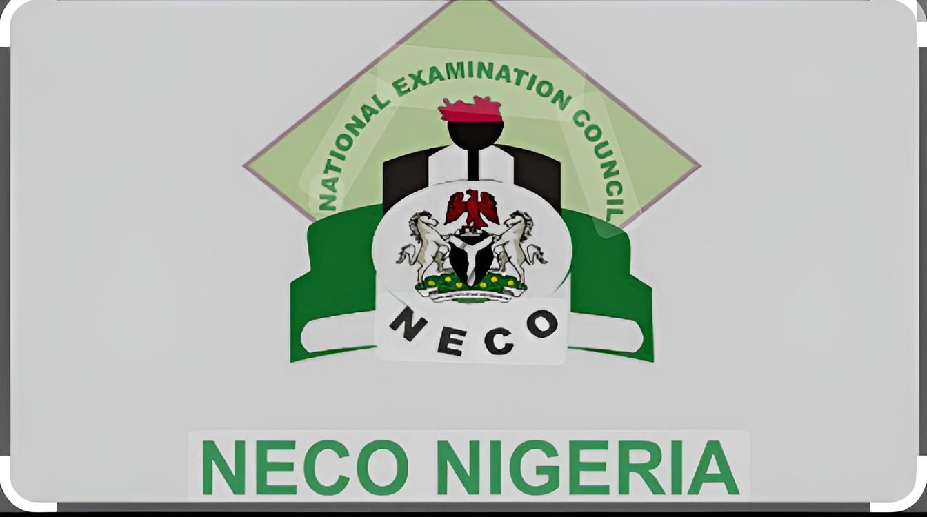 NECO released 2024 results on Thursday, September 19, 2024. See the process on how to check yours.